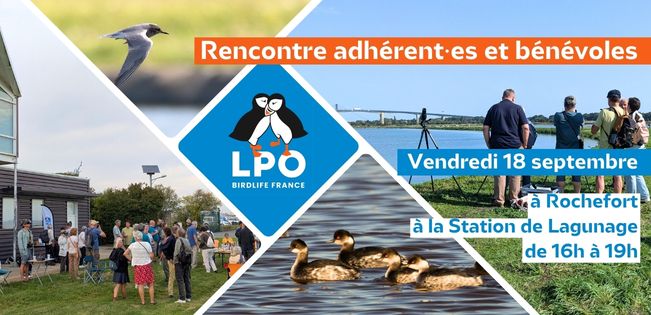 Rencontre de la rentrée entre adhérent·es, bénévoles et salarié·es